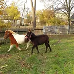 Birkenhof Appartement Zeulenroda-Triebes