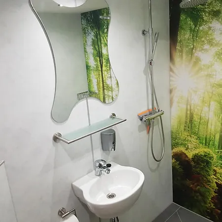 Апартаменты Birkenhof Цойленрода