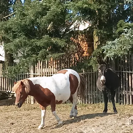 Appartement Birkenhof *