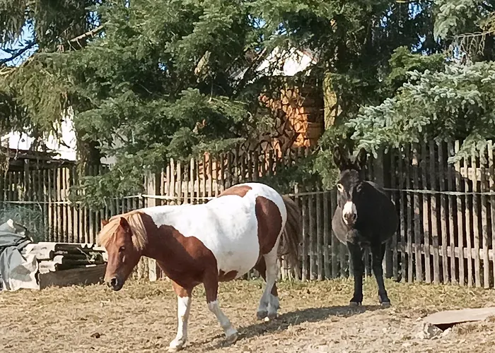 Appartement Birkenhof *