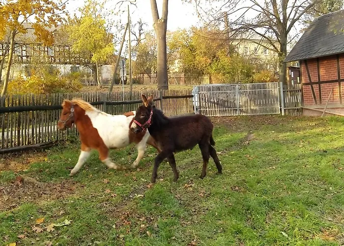 Birkenhof Appartement Zeulenroda-Triebes